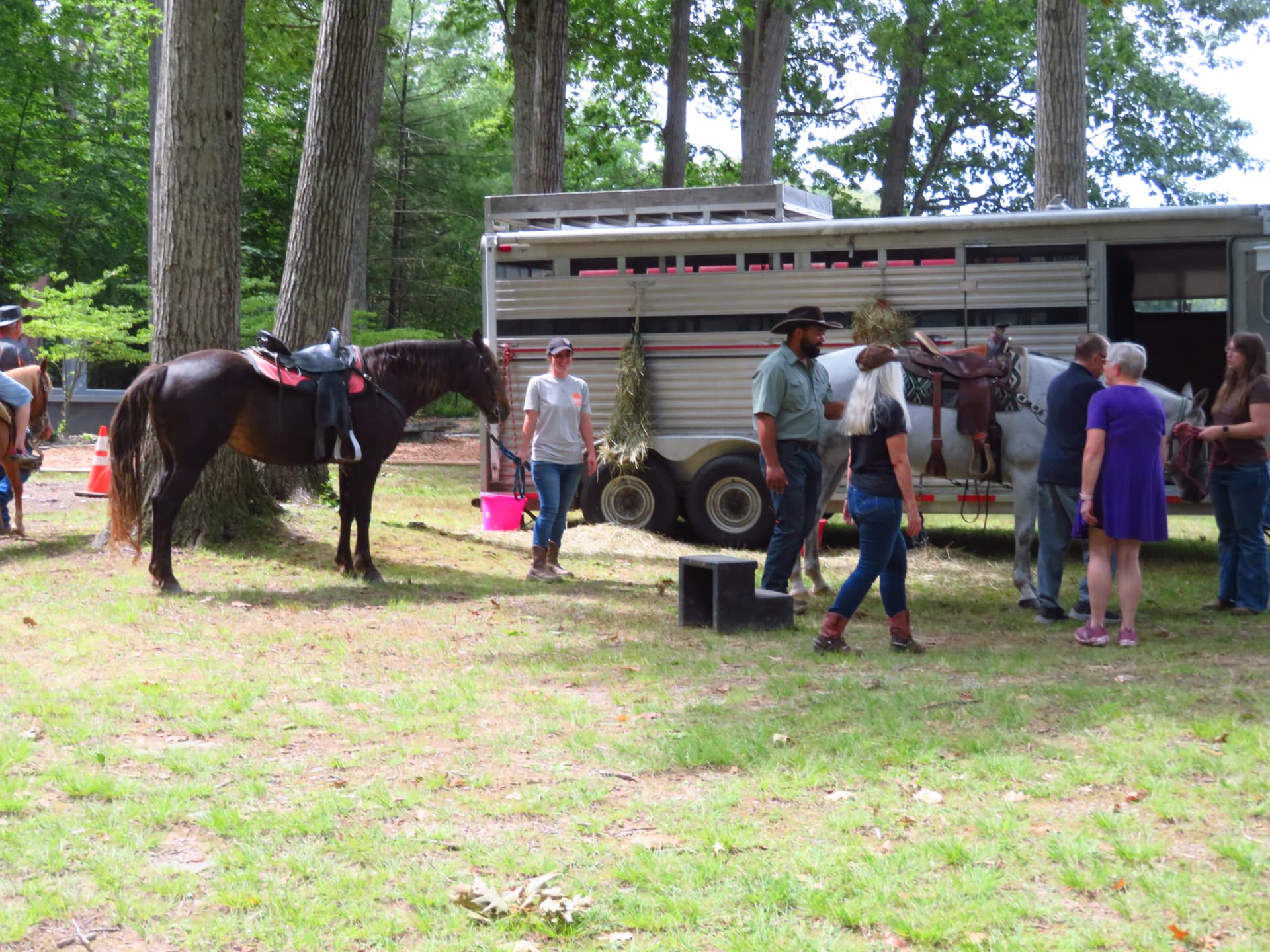 Horses saddled and ready for rides beside the trailer at the park