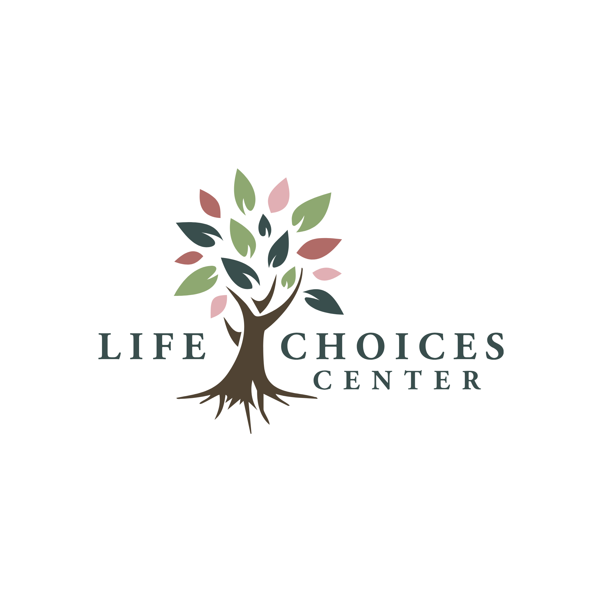 Life Choices Center