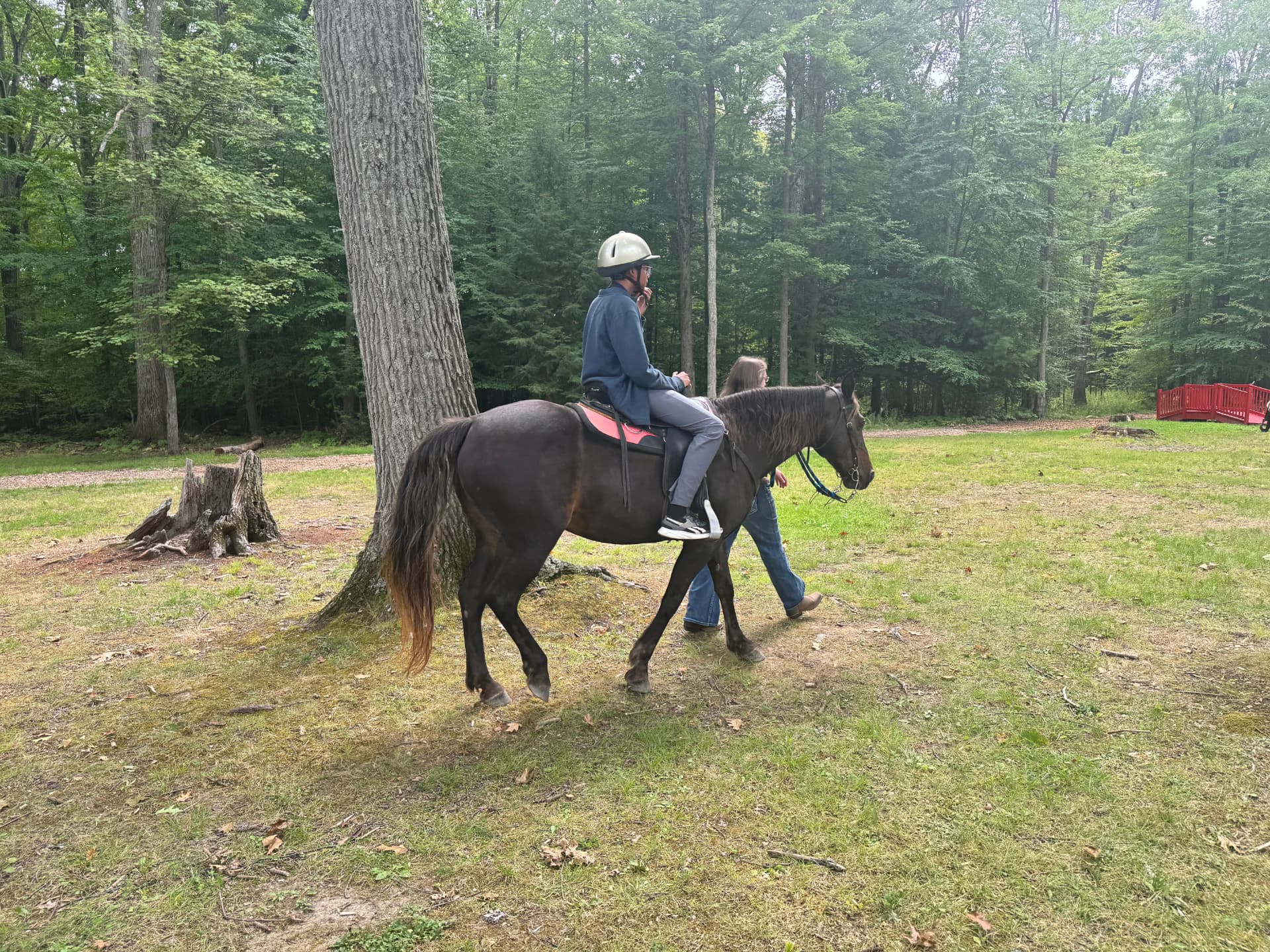 A rider on horseback being led through the wooded park