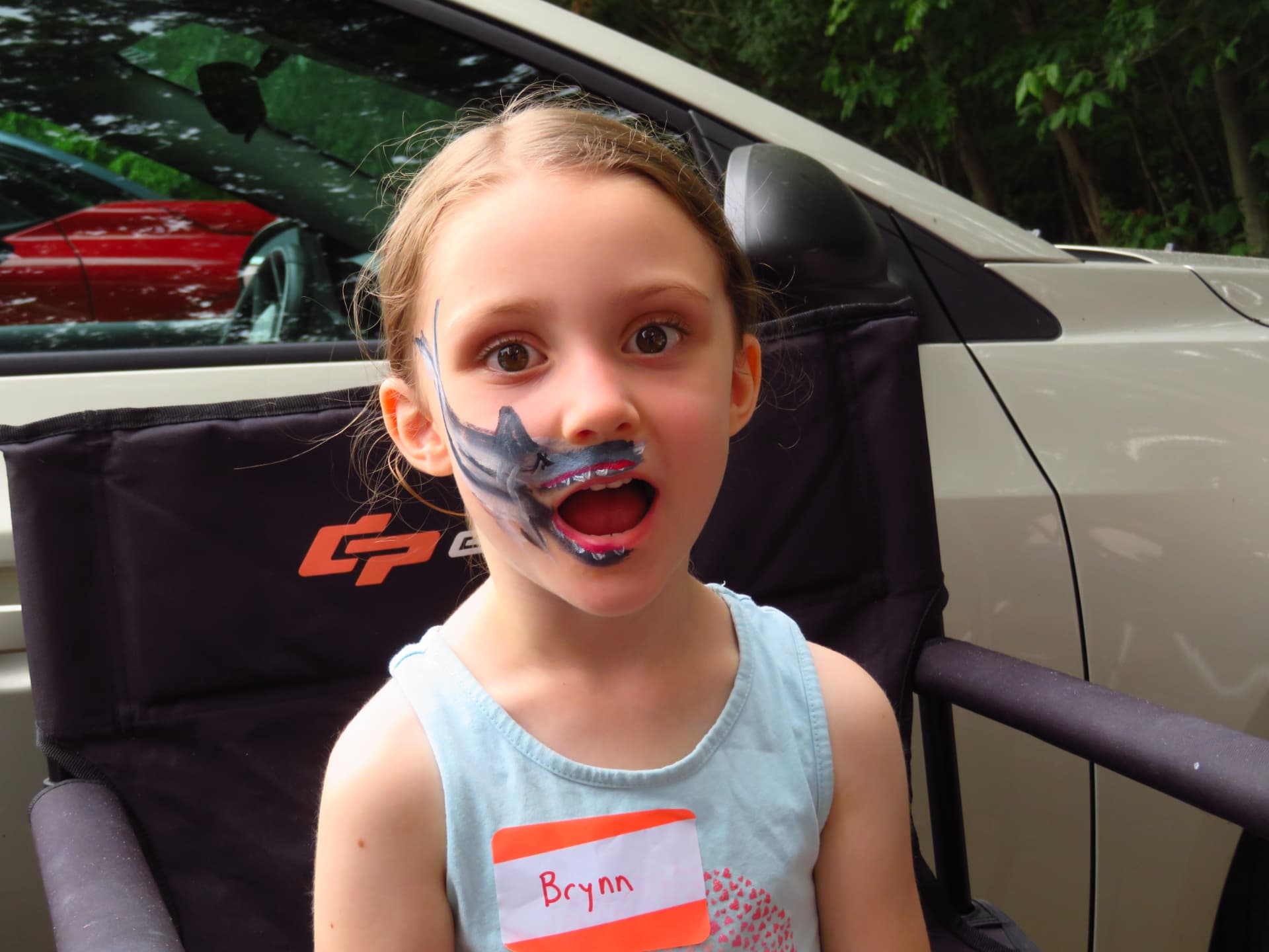 A young girl showing off her face paint at the picnic